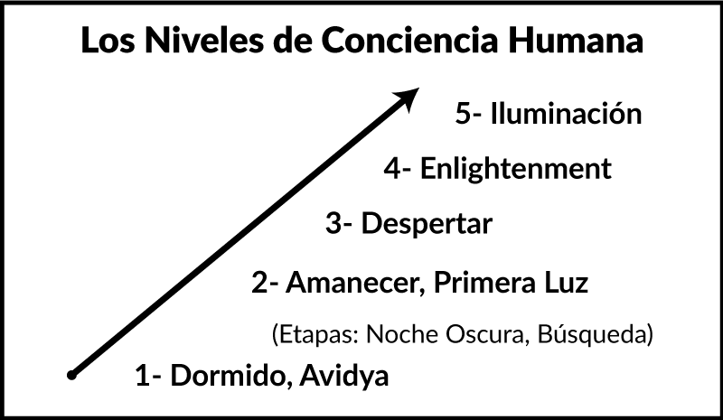 Niveles de  Conciencia Humana