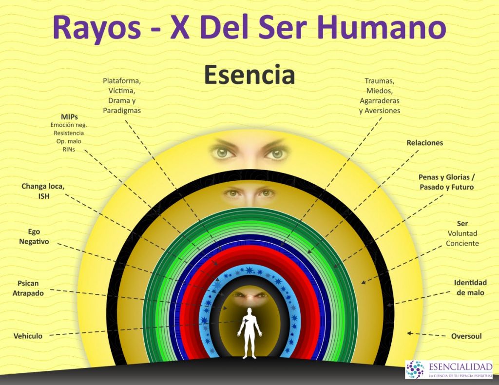 Rayos-X del Ser Humano