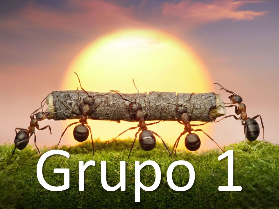 Reposicion de Energia G1