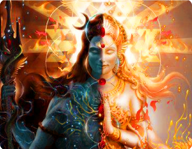 8 sesiones IAA Abril 2018 - público general - 4 pagos